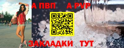 стаф Можга