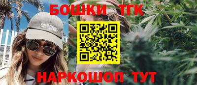 стаф Можга