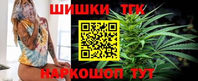 индика Моздок