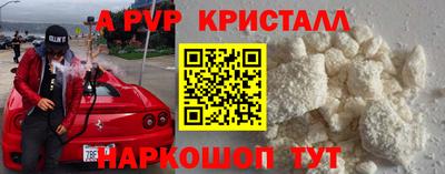 стаф Можга
