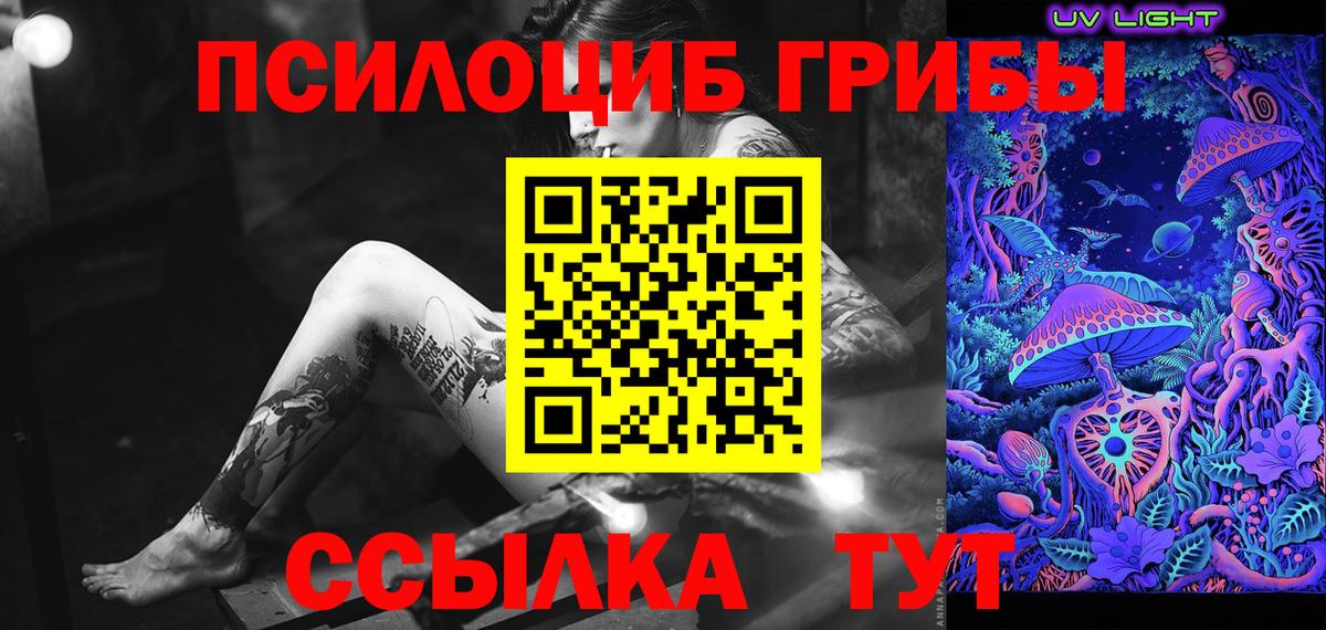 Вичуга  Псилоцибиновые грибы Psilocybine cubensis  Вход с VPN 